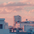 衡十七 - 偏爱