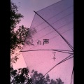 空寻 - 雨声