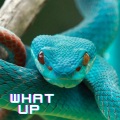 DJ Fire House - What Up