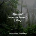 Asian Zen Spa Music Meditation、Echoes Of Nature、White Noise Relaxation - Healing Tides