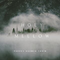 Parvez Ahamed Tasin - Holy Mellow