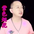 盘锦兵哥 - 紫色烟花