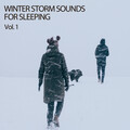 Winter Storm Sounds For Sleeping Vol. 1