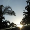 Reese - Reflections (Explicit)