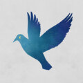 Lofi Birds