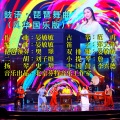 鼓语·琵琶舞曲 (风华国乐版)