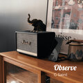 G Saint - Observe