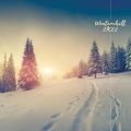 aMEW Music - Distant