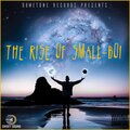 The Rise Of Small-Boi