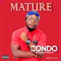 Mature - Condo (Explicit)