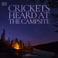 캠핑장에서 듣는 귀뚜라미 소리 Crickets heard at the campsite
