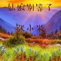 张小米 - 姑娘别等了