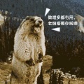 爱猫猫的David - 于心有愧