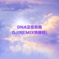 DJ达达达 - DNA正在苏醒 (DJ版) (Remix)