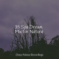 Ambient Forest、Binaural Beats、Soothing Chill Out for Insomnia - Close Your Eyes