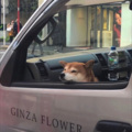 月色不温柔 - 太阳