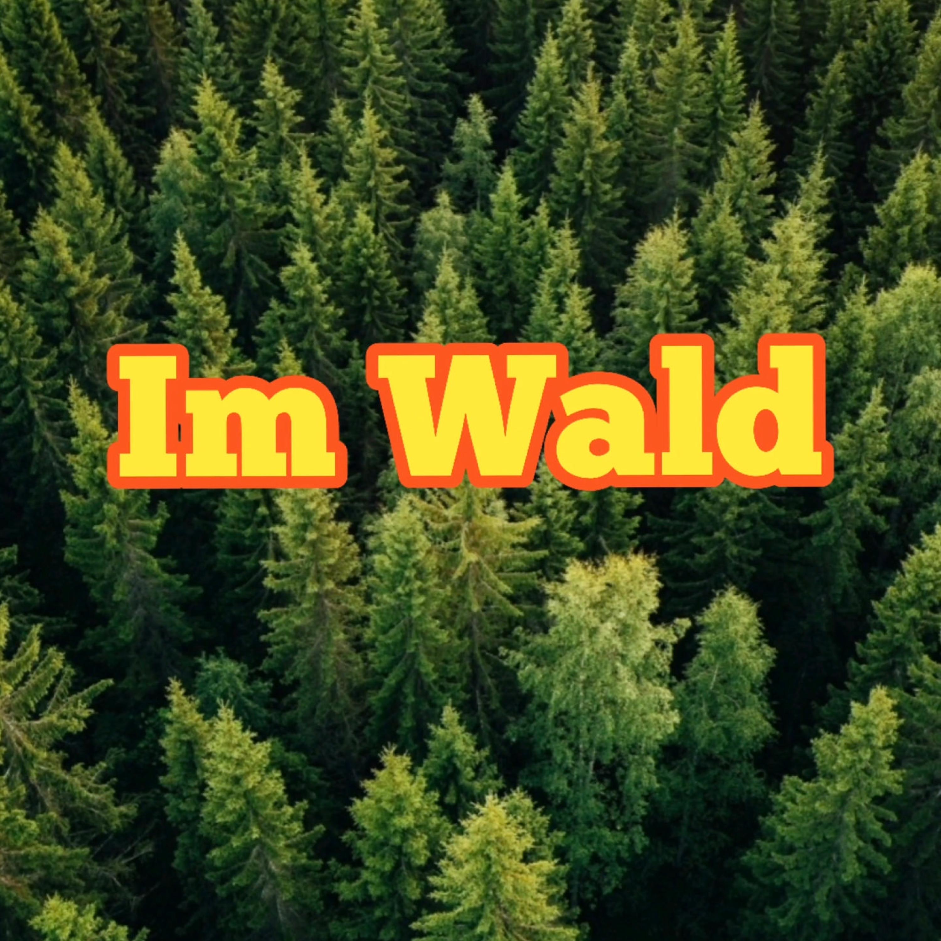 Schein、Waffelbudenboy - Im Wald (feat. Waffelbudenboy)