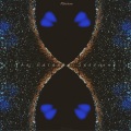 Marano - Ascension