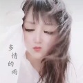 多情的雨