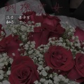 希尔薇Sylvie - 刺槐少女