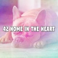 第42章 心中的家