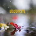 苏夏依 - 城市雨声mp3
