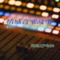 海鸥 - Love Is Gone (feat. Dylan Matthew) (Acoustic)SLANDER&Dylan Matthew