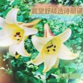 酷我1629429101920 - 关耳静聆朗诵《致萤火》戴望舒