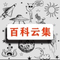 蔚蓝刺桐 - 左撇子北极熊&牛羊