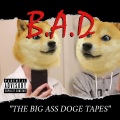 Lil kat、BIG ASS DOGE、Lil Loneyee、YUNG KAPPY、AlmawtFromDaStreets、Mamba、DA BANG - Diverse Song (feat. Lil Loneyee DA BANG YUNG KAPPY & Lil Kat)(Explicit)