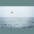 Amuro - 理想三旬