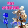 王庆富、李煜惜 - 梅花