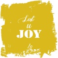 Lost U Joy