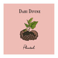 Dahi Divine、Destiny X - Dirty Sneakers (Explicit)