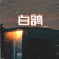Joya - 白鸽