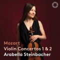 Violin Concerto No. 1 in B-Flat Major, K. 207: I. Allegro moderato