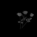 琉森 - 一个人唱情歌 (rap)
