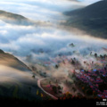 小苍 - 不想你难过
