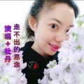 牡丹 - 走不出的思念