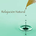 Relajación Natural: Musica para Ejercicios Yoga y Meditar