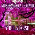 Relajacion Y Meditacion - Música para dormir una noche cómoda