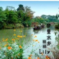 丽丽Lily - 梦里水乡