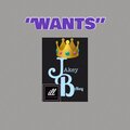 Jakey Babey、ANTMOE DA HONCHO、subro - WANT (feat. ANTMOE DA HONCHO)(Explicit)