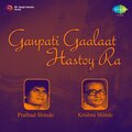 Ganpati Gaalaat Hastoy Ra