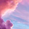 某阿孜 - 宁夏