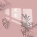 暖橘L - 光束