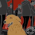 Gitanos - El Perro