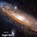 Amir Nz、Amir Nz Lonely Eagle - Saghi Bia