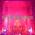 第45章提神靈氣