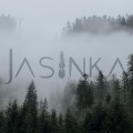 Jasinka - Young Spring